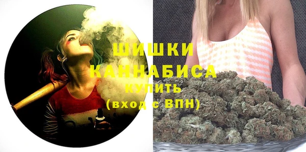 мдпв Киреевск