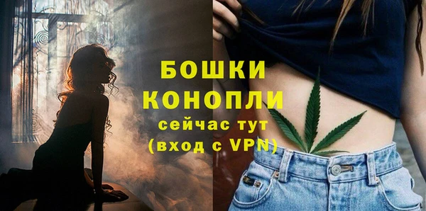 мдпв Киреевск