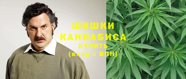 мдпв Киреевск