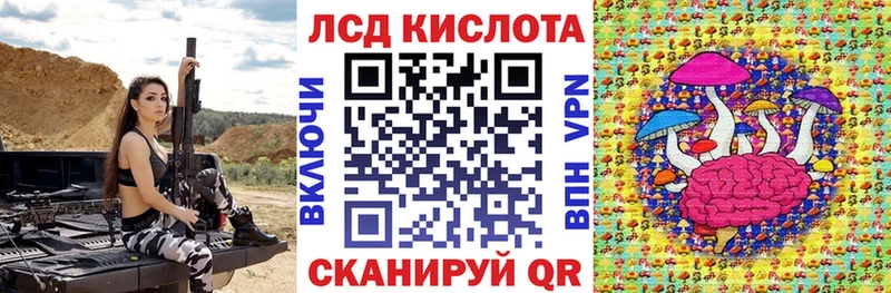 Купить где  Бородино  Марки N-bome 1,8мг 